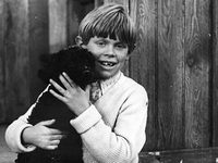 "��������� �� ������ / Kochankowie z Marony" (1966)