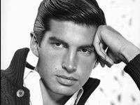 ������ ��������� (George Hamilton, George Stevens Hamilton IV) 
����������