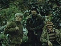 Территория (1978)  фотографии