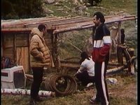 ���� ������ (1987) 
����������