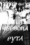 Червона рута