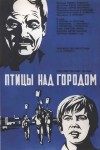 Птицы над городом
