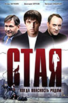 Стая