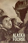 Лисы Аляски