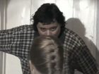  .  (2011)