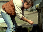   - ",   " (1973)