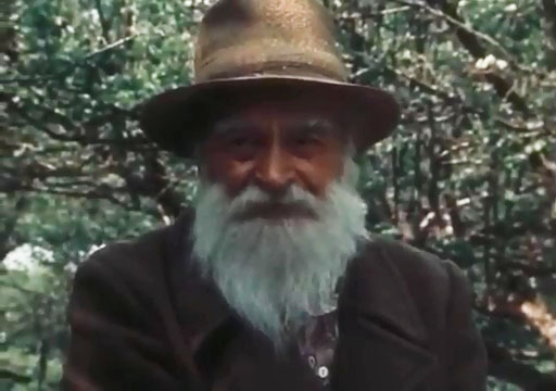     (1988)