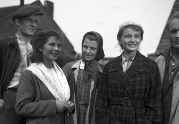    (1954)
