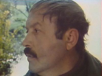   - "  .  6" (1981)