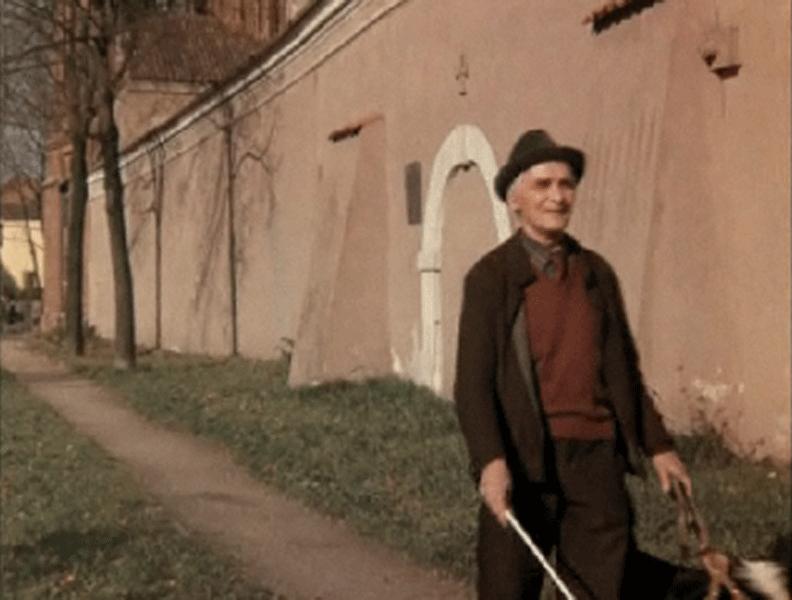   - " " (1991)