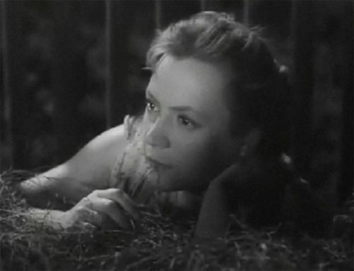   (1956)
