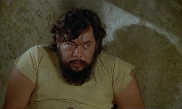  (1981)