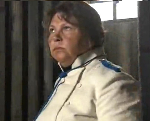    (2006)