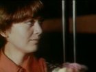   - "  " (1977)