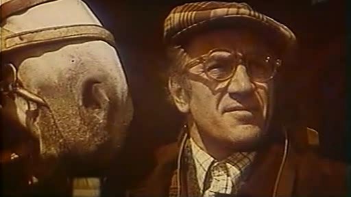   - "34- " (1981)