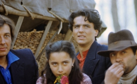 ϸ  - "   " (1988)