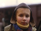 ",   " (1993)