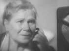   - "  8.   " (1941)