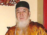    " " (2008).