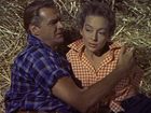   - "  " (1955)