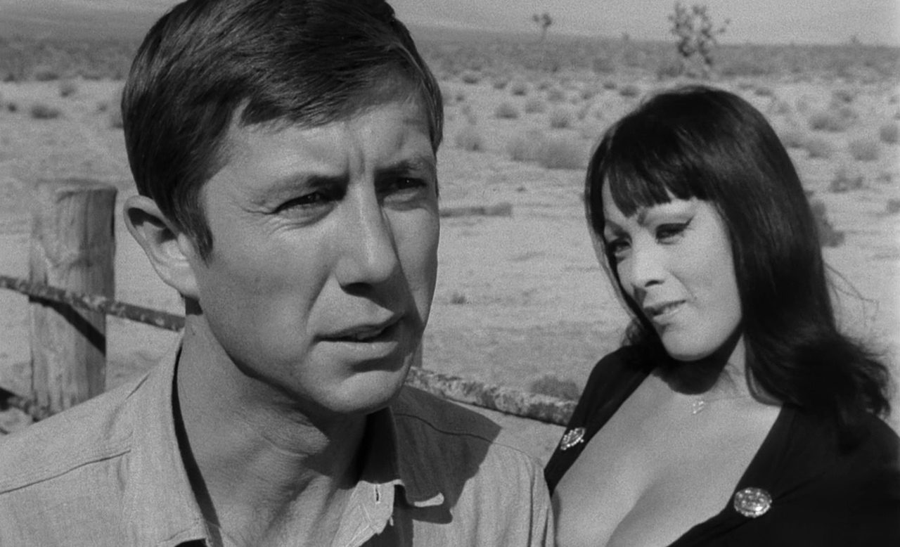   - " ! , !" (1965)