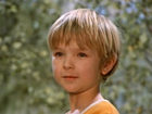   - "   " (1979)