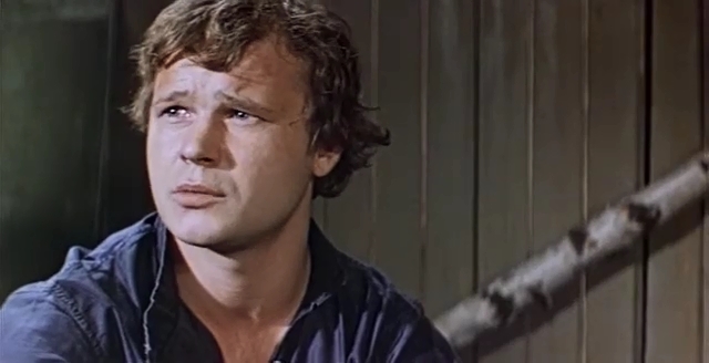    (1977)
