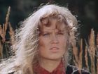   - "   " (1980-1981)