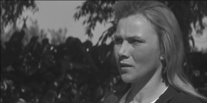   (1967)