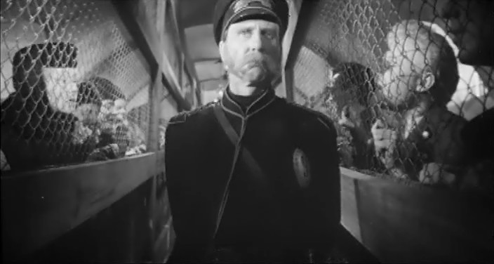   (1965)