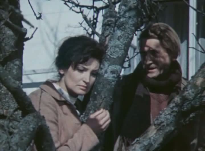   - " " (1975)