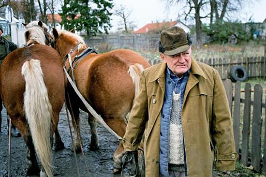   - "STACYJKA" (2004)