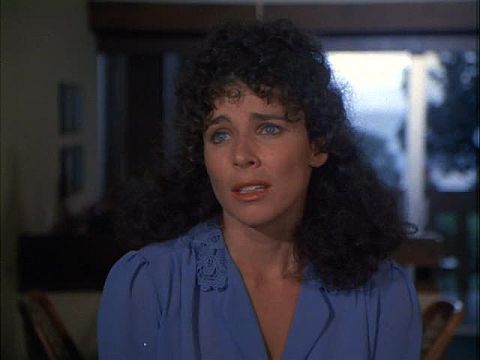   - "  " (1980-1988)