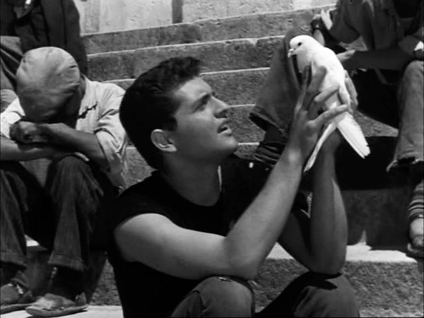  (1959)