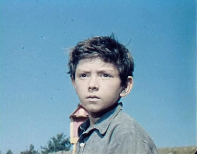   - "  -" (1964)