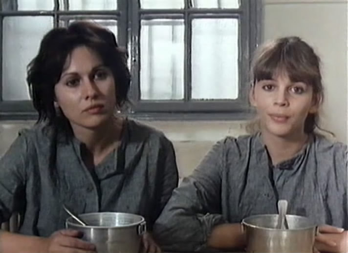   (1985)