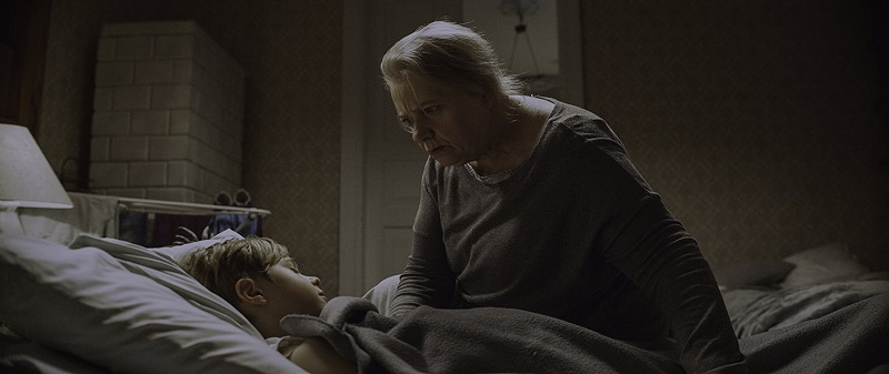    (2017)