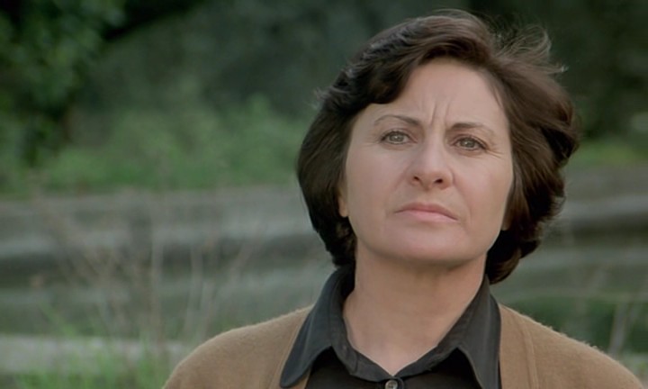   (1977)
