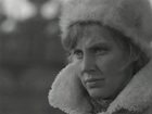   - "  ()" (1968)