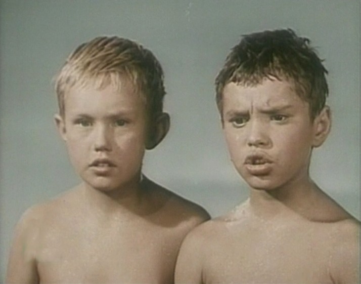    (1953)