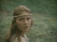 ",  " (1991)