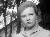 ",  " (1964)