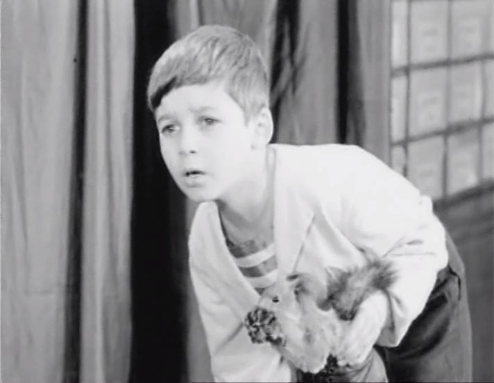   (1937)