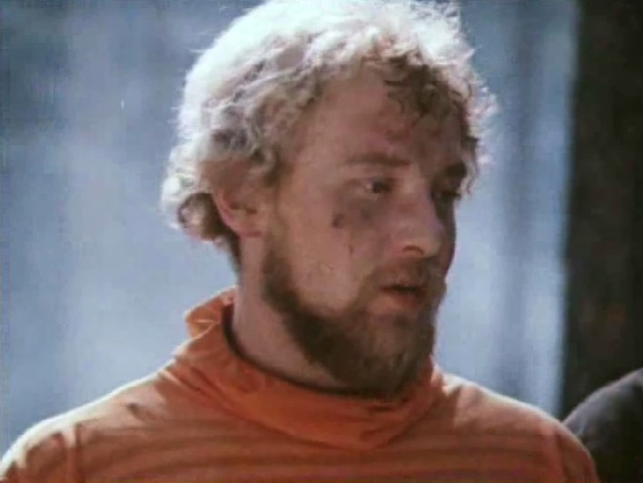   (V) - "  " (1982)