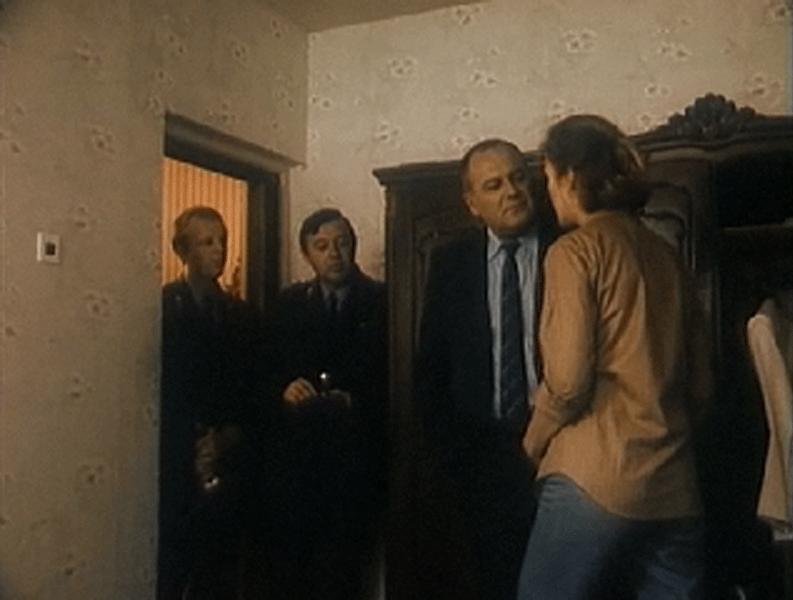   (V) - "  " (1991)