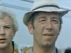   (V) - "  " (1978)
