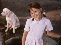 "-" (1979)