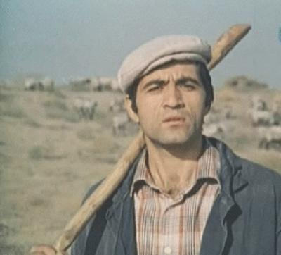 , 45   (1982)