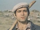 ", 45  " (1982)
