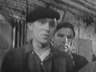   - "  "(1961)